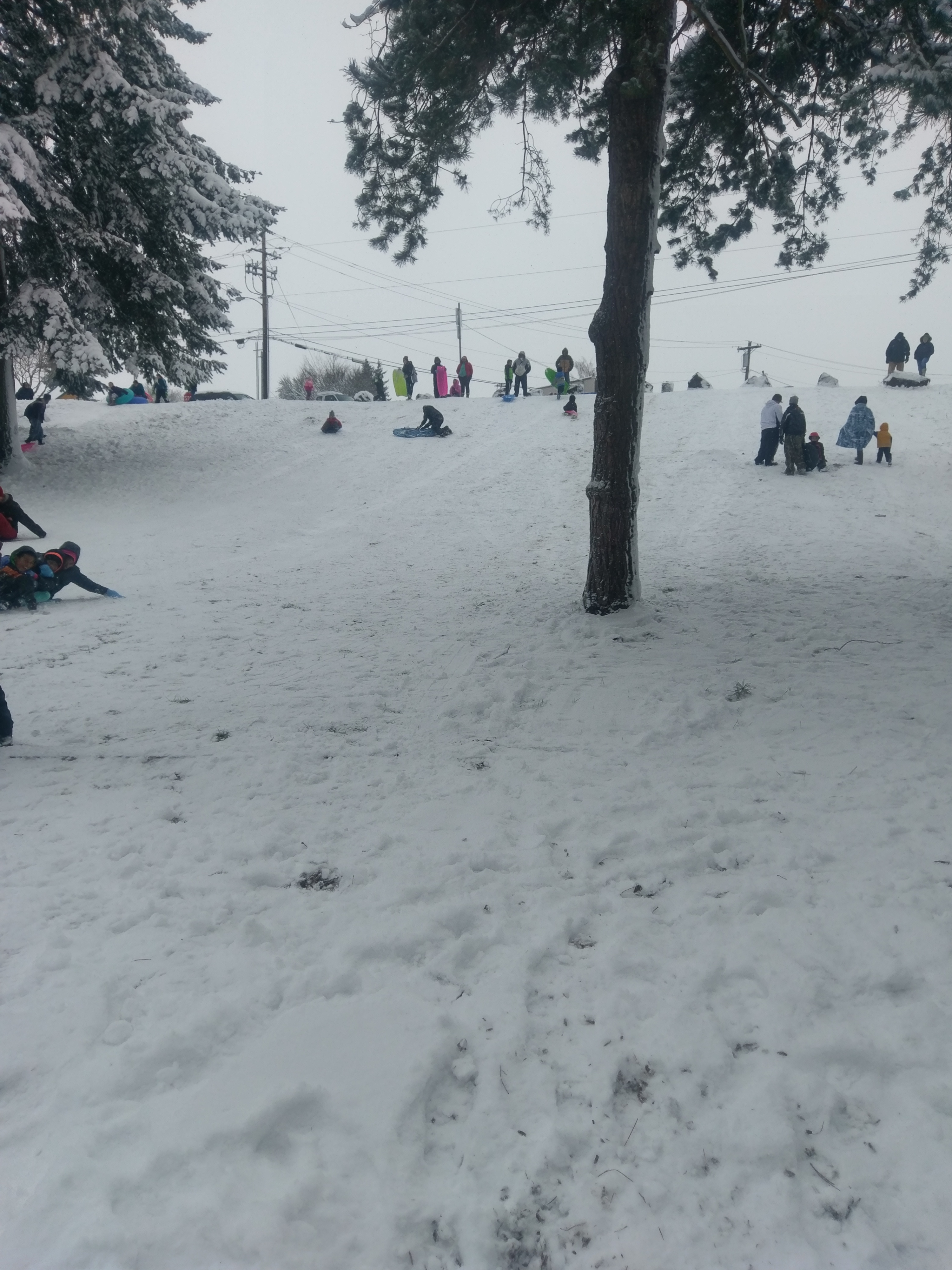 Thurs sledding at the office