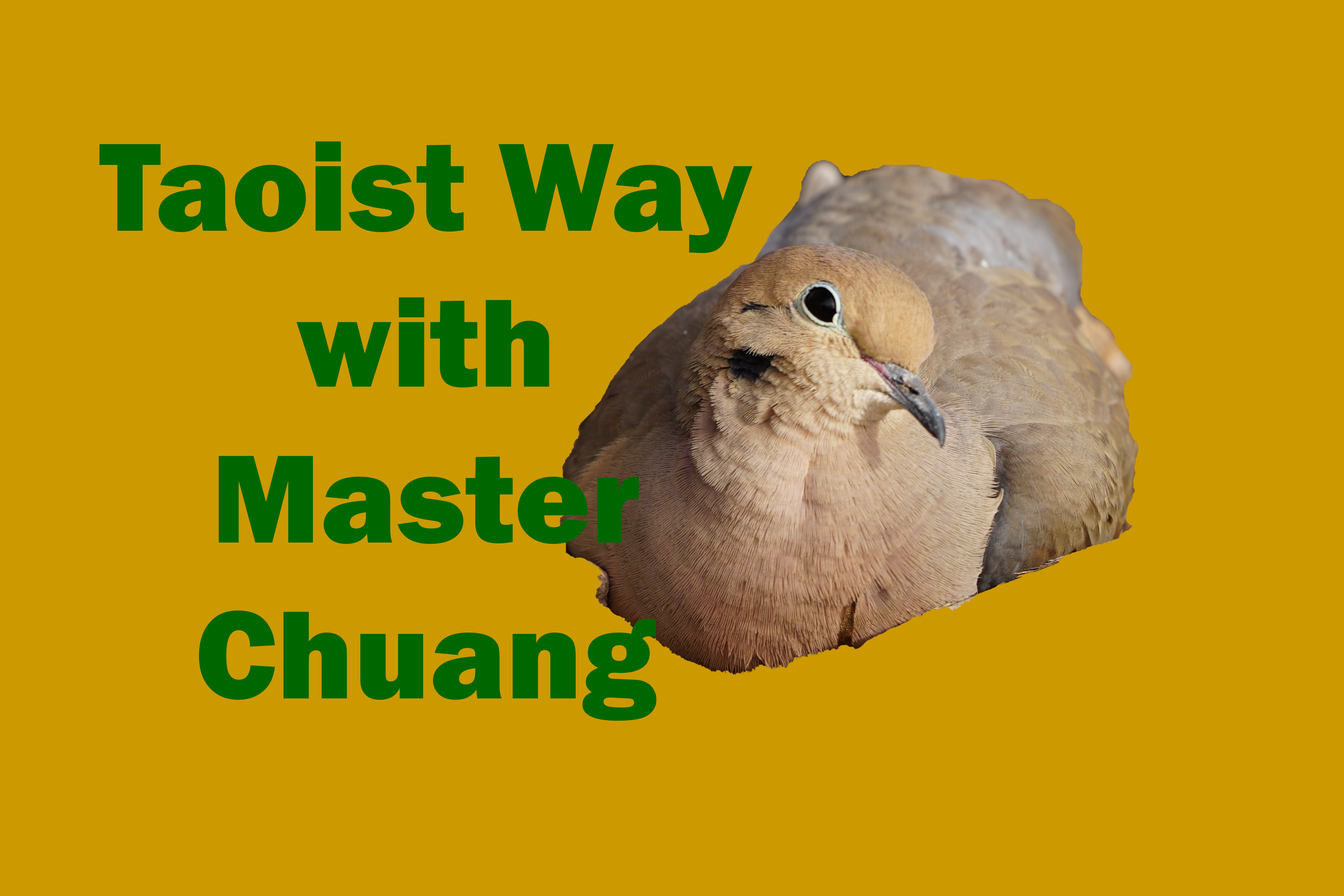 Taoist Way