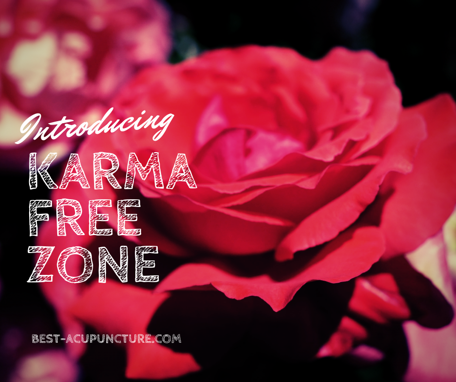 Karma Free Zone - Best Acupuncture llc