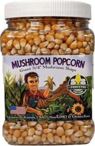 mushroom popcorn