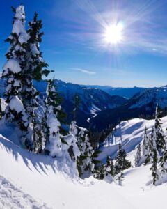 Mountain with trees and snow