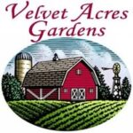 Velvet Acres Gardens